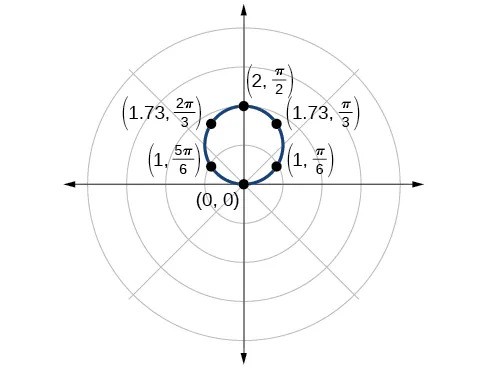 Example Polar Graph