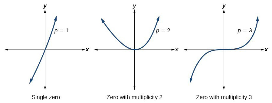 Multiplicity