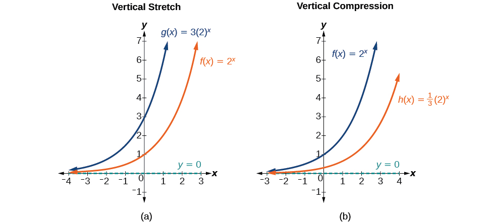 Stretch and Compression